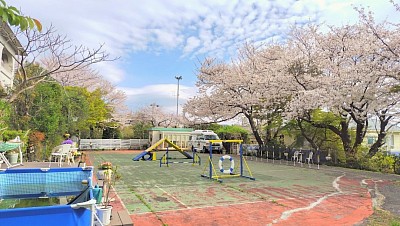 ドッグラン全景(アジリティ・プール完備)