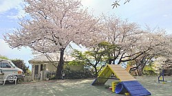 ホテル入口とフラットに繋がる