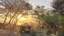 相模湾と初島を望む最高の環境